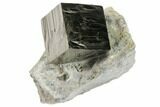 Natural Pyrite Cube In Rock From Spain #82075-1